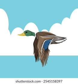 vector image of flying duck