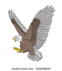 Vector image of a flying eagle on a white background