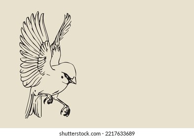 Vector image - flying sparrow 2