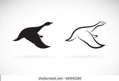 Vector image of an flying wild duck on white background, Vector duck for your design.