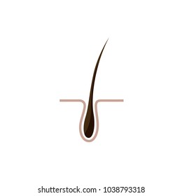Vector image follicle. Universal use. Original image. Isolated image.