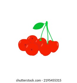 Vector image of an food and drinks   on a white background