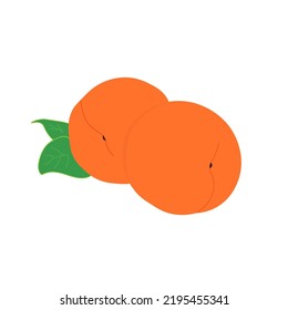 Vector image of an food and drinks   on a white background