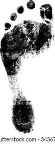 Vector Image of a Footprint