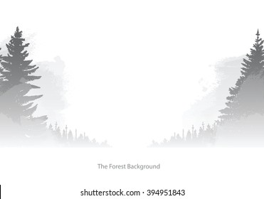 Vector image of the forest background. Wild coniferous forest in the morning mist. Vector background of gray coniferous trees on either sides on a white background. Foggy valley. Vector pine forest.