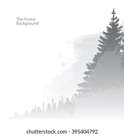Vector image of the forest background. Wild coniferous forest in the morning mist. Vector background of gray coniferous trees on the right side on a white background. Foggy valley. Vector pine forest.