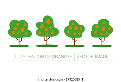 Vector image. Image of four fruit trees. Flat funny modern drawing.