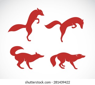 Vector image of an fox on white background