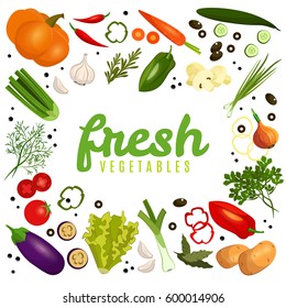 Vector image. Frame of vegetables. Colorful set. ECO-organic fresh pattern with vegetables to decorate the menu.