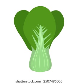 Vector image of fresh bok choy with green leaves, detailed and vibrant.