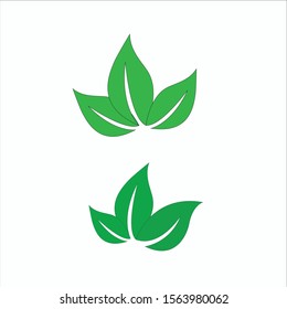 vector image of fresh green leaf group

