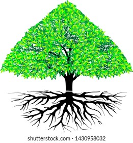 Vector image of fresh green tree