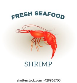 Vector image. Fresh seafood, shrimp
