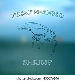 Vector image. Fresh seafood, shrimp
