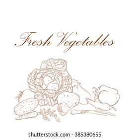 Vector image of the fresh vegetables banner