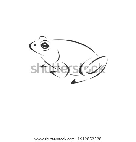 Vector image of an Frog black and white. design style. animal. art. symbol. logo. Illustrator. on white background