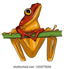 Vector image of an frog design on white background,