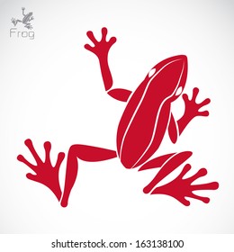 Vector image of an frog design on white background, Vector frog for your design.