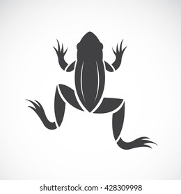 Vector image of an frog design on white background, Vector frog for your design.