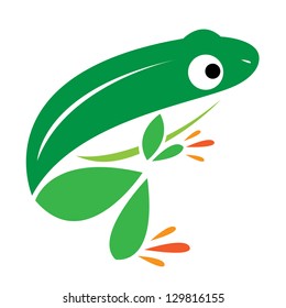 Vector image of an frog on a white background
