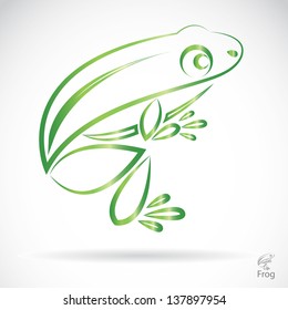 Vector image of an frog on a white background