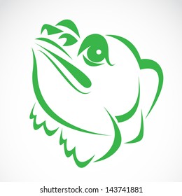 Vector image of an frog on a white background