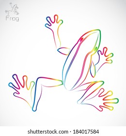 Vector image of an frog on white background
