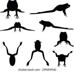Vector Image - frog silhouette isolated on white background
