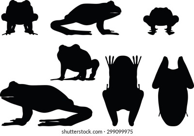 Vector Image - frog silhouette isolated on white background