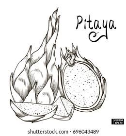 Vector image. A fruit sketch of pitaya. A set of hand drawing with a picture of dragon fruit and its slice