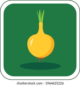 vector image of fruits and vegetables in vivid colors with dark green background.