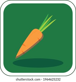 vector image of fruits and vegetables in vivid colors with dark green background.