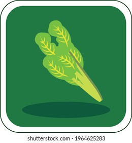 vector image of fruits and vegetables in vivid colors with dark green background.