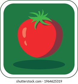 vector image of fruits and vegetables in vivid colors with dark green background.