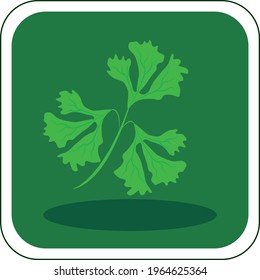 vector image of fruits and vegetables in vivid colors with dark green background.