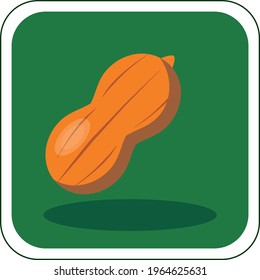 vector image of fruits and vegetables in vivid colors with dark green background.