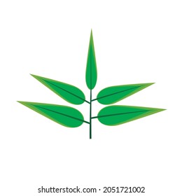 vector image of full green bamboo leaves. large type of bamboo leaves with 5 green leaves into 1 series of twigs. can be used as a symbol, logo or icon. The color of the bamboo leaves can be changed.