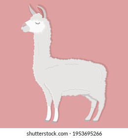 Vector image of a full-length llama. Funny alpaca on a bright background. Flat image of a cute and funny animal.