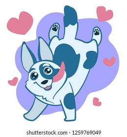 vector image of a fun running blue corgi dog
