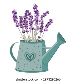 vector image of a garden watering can with a bouquet of lavender on a white background