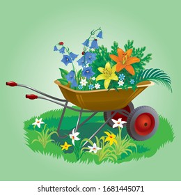 Vector image of a garden wheelbarrow decorated with beautiful summer flowers and bell lilies