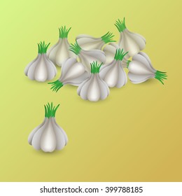 vector image garlic on green