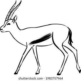 Imagen vectorial de la gacela en el fondo blanco, logotipo de la gacela, gacela tatuada, gacela vectorial para su diseño.