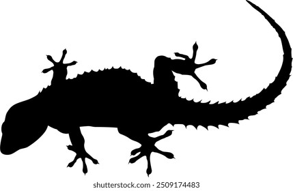 Vector image of a gecko