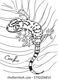 
Vector image of a gecko. Black and white image.