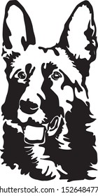 
vector image of a german shepherd