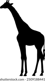 Vector image of a giraffe