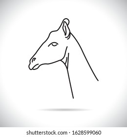 Vector image the giraffe head on the white background, Giraffe Logo, Giraffe Head Tattoo, Vector giraffe head for your design.