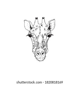 Vector image the giraffe head on the white background, Giraffe Logo, Giraffe Head Tattoo, Vector giraffe head for your design.