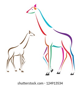 Vector image of an giraffe on a white background